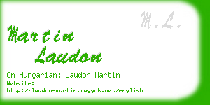 martin laudon business card